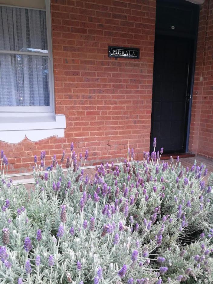 Merala A Cosy With Easy Stroll To Cbd * Mudgee